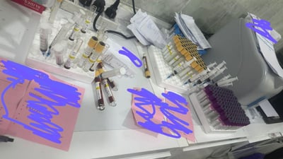 شەوی رابردوو لە هەولێر 45 تاقیگە داخراون