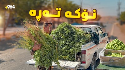 گەنجەکانی گەرمیان لەگەڵ خۆرھەڵاتن دەسکەنەی “نۆکە تەڕە” دەکەن