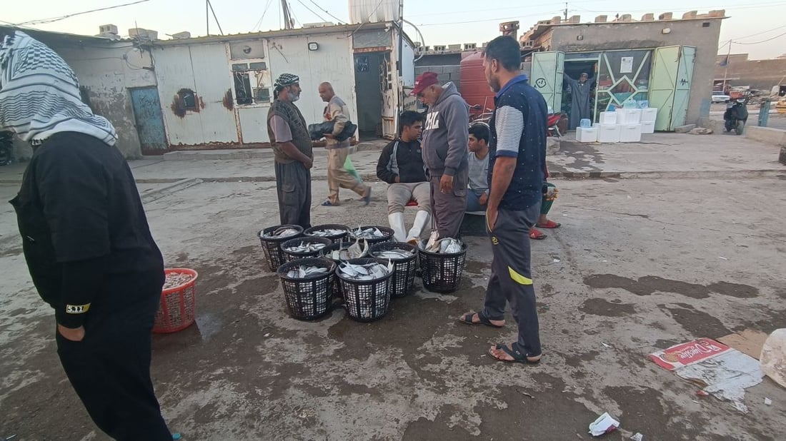 صور: “الحداكة” لم ينزلوا إلى البحر اليوم وأسعار الأسماك قفزت في النقعة