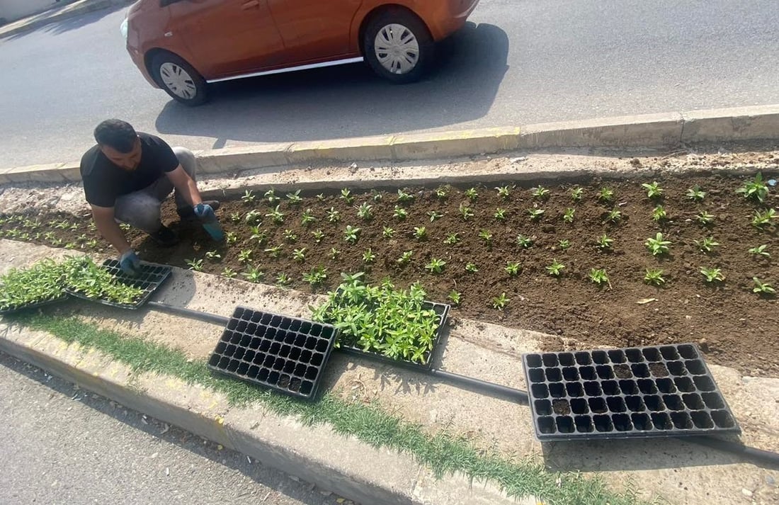 شەقامەكانی دهۆك بە گوڵ دەڕازێنرێنەوە