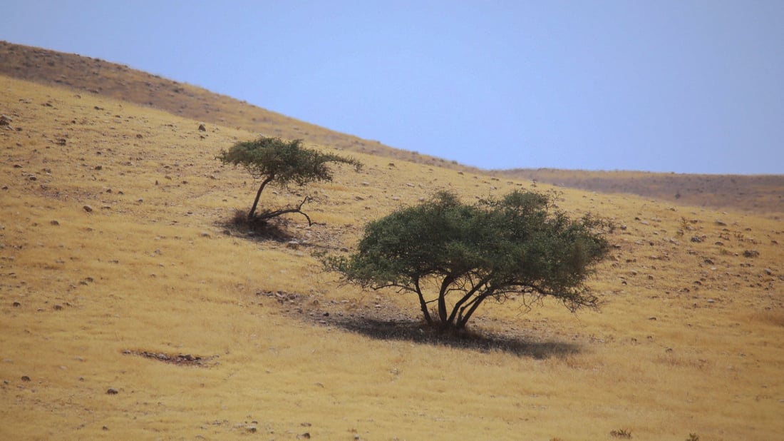 ئه‌مساڵ گه‌رمیان له‌ نێوان وشكه‌ساڵی و ته‌ڕه‌ساڵیدا ده‌ژیت