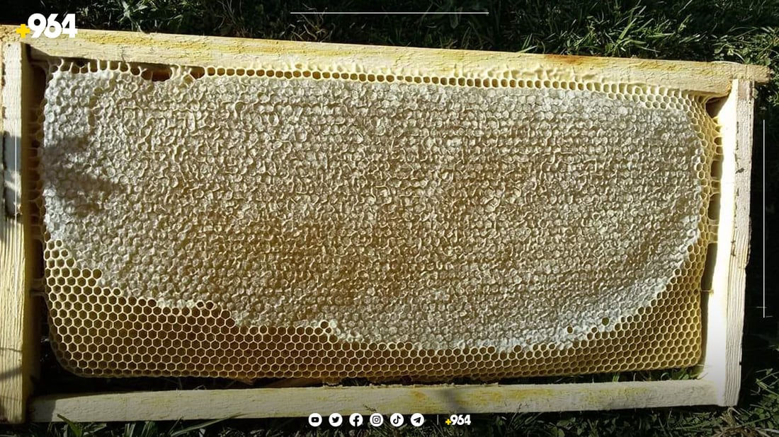 هه‌نگه‌وانانى هه‌رێم به‌رهه‌میان باشه‌ و گله‌ییان زۆره‌