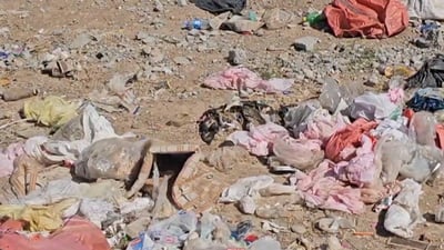 كه‌ تاریك دادێت به‌شێك له‌ هاوڵاتیان زبڵ و پاشماوه‌ له‌شوێنێكى داره‌توو فرێدەدەن