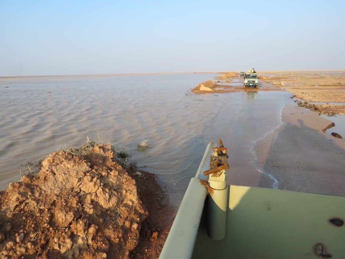 صور: الجيش ينقذ أغنام الرعاة من السيول في صحراء النخيب بين كربلاء والأنبار