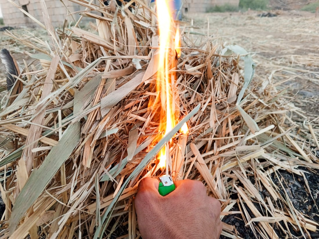 964mediaصورة من منصة (شبكة): 