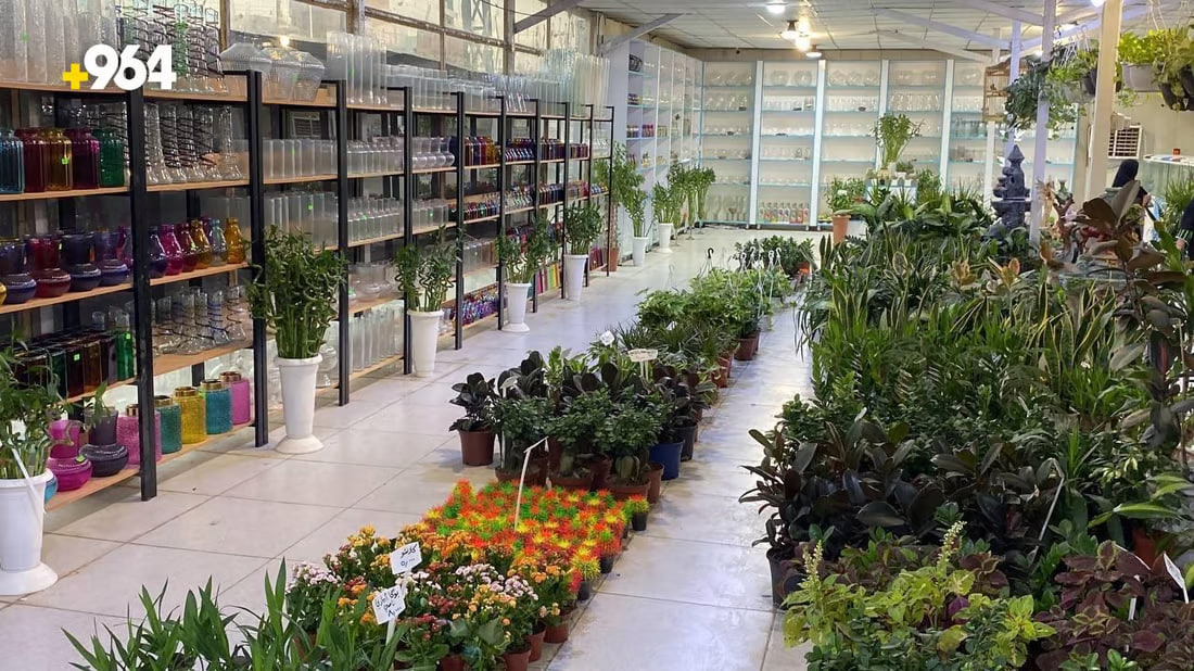 964mediaصورة من منصة (شبكة): 