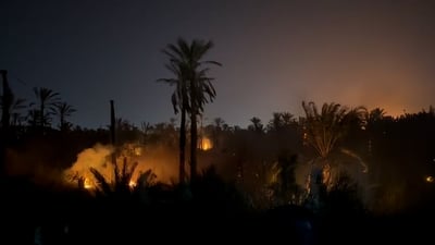 ئاگر 100 دارخورمای لە باخێکی بەسڕە سووتاند