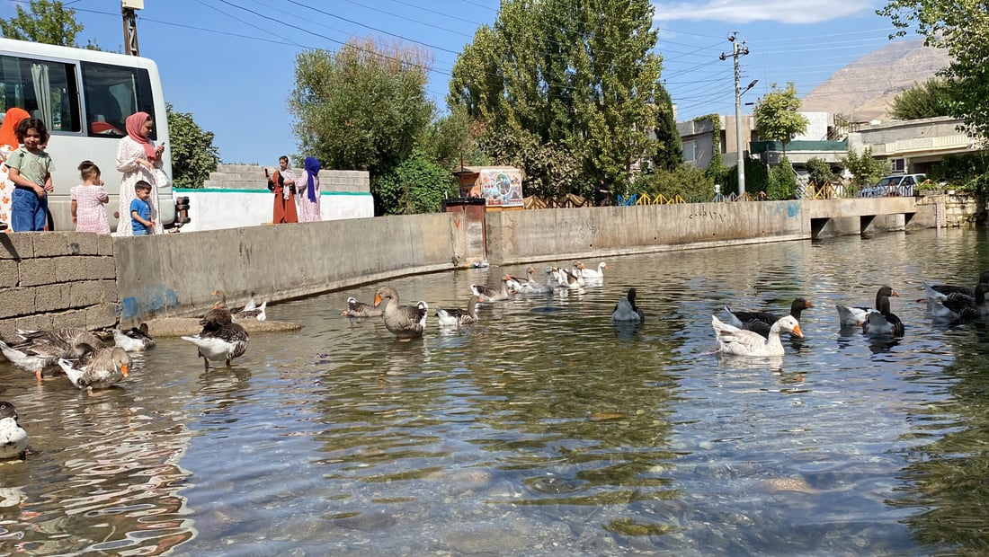 لە خورماڵ زۆربوونی ئاو، ئاو پێدانی بەماڵان کەم کردووە