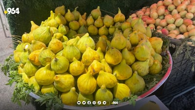 Taq Taq Fig Festival draws 25,000 visitors, boosts local economy