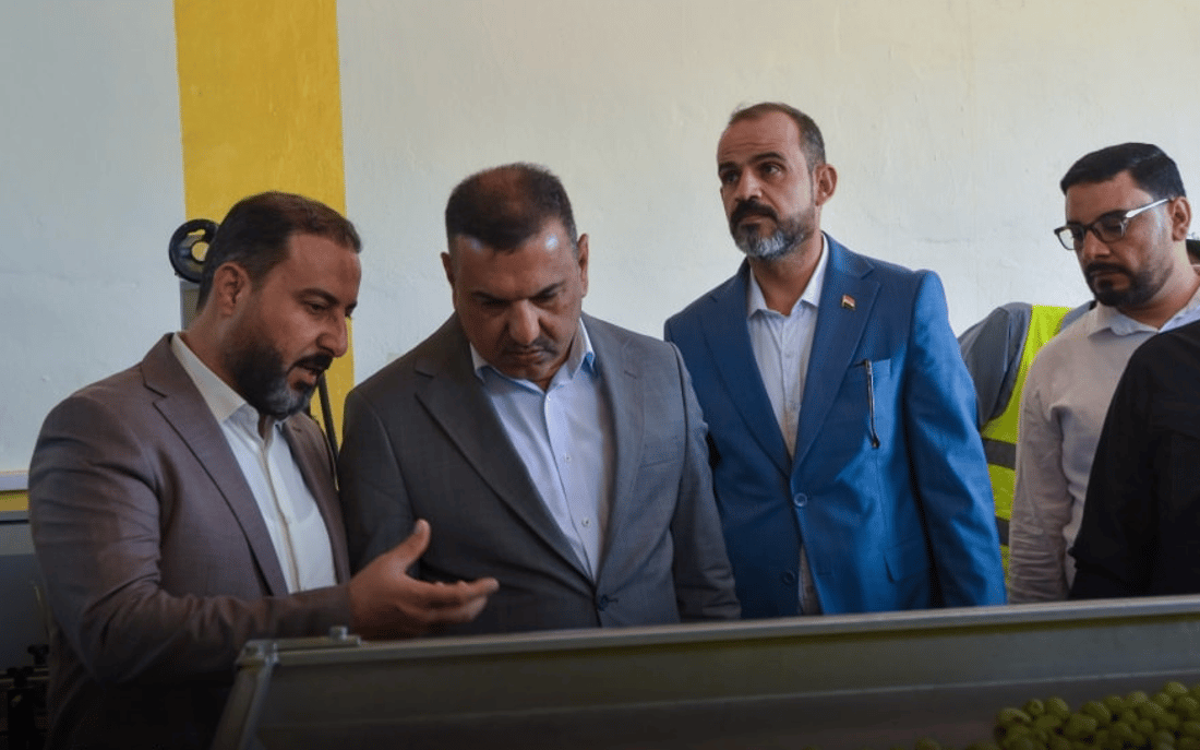 انتظروا زيت زيتون “حديثة”.. المعصرة جاهزة والفلاحون يراهنون على الشجرة المباركة