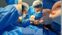 لە رۆژانى پشووى سەرى ساڵدا 83 منداڵ لە رانیە و قەڵادزێ ل...