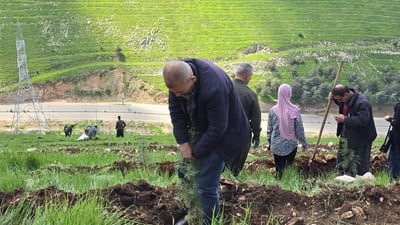 دۆڵەمیران و ئەزمەڕ سەوزتر دەکرێن؛ 1000 نەمام دەچێندرێن