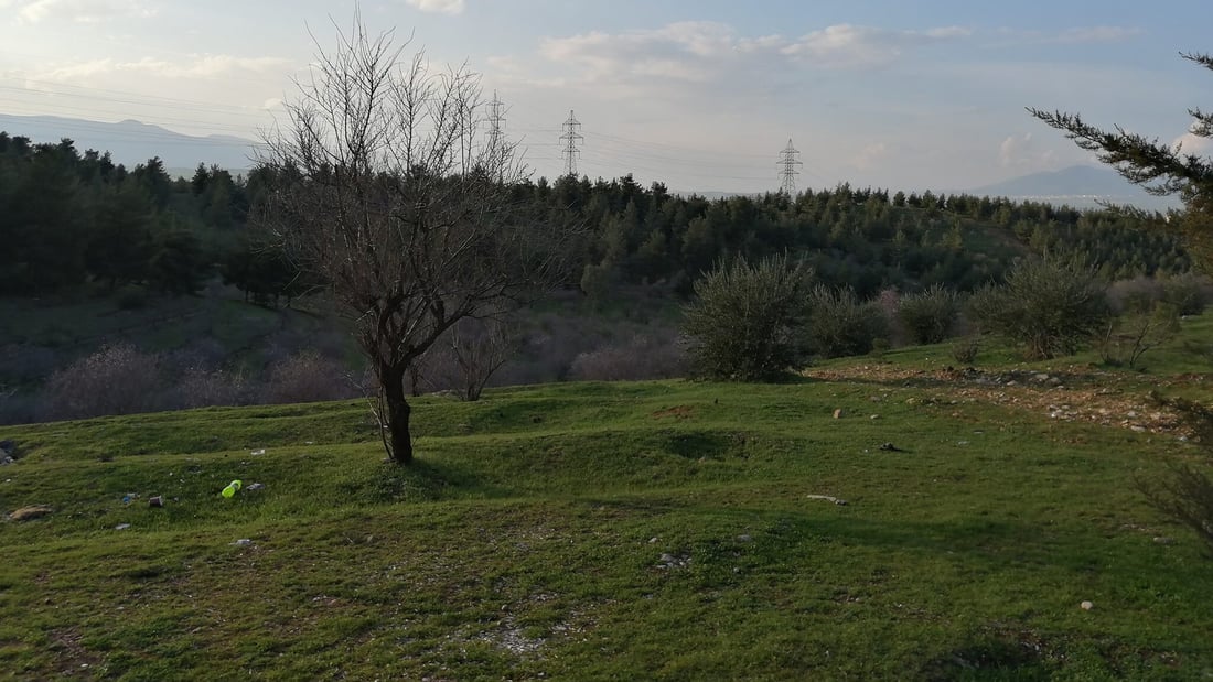 سێ ئاژەڵدار لەسەر لەوەڕاندنی مەڕوماڵەت لە دارستانێک دەستگیر کران