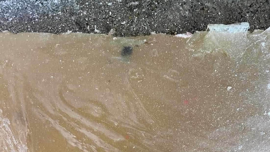 پاشماوەی جرج لە شیرینەکانی دوکانێک دۆزرایەوە و دەستی بەسەرداگیرا