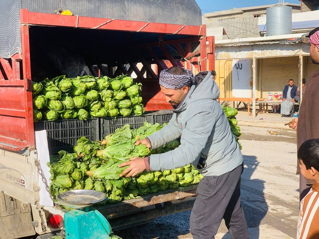صباح خيرات العراق الطازجة.. آخر أيام الخس وسبهان ينتظر “الركي” (صور)