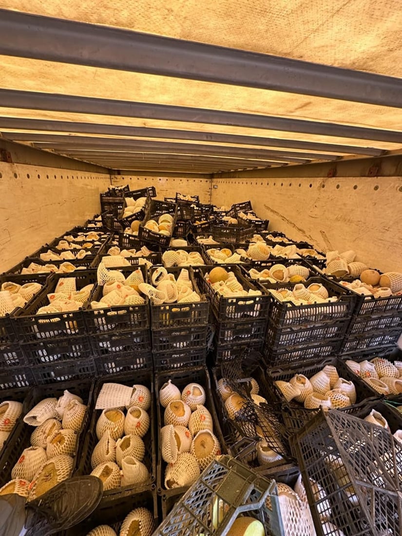 Authorities in Halabja seize spoiled meat and nearly nine tons of muskmelon