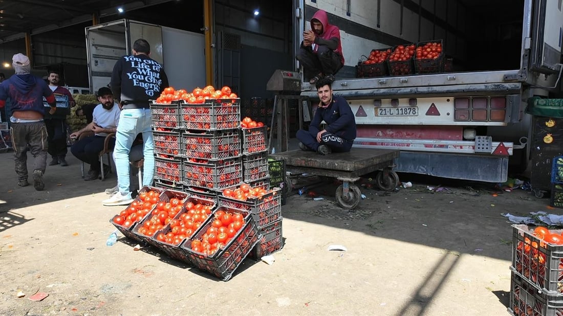 نرخی کیلۆی تەماتە گەیشتووەتە سێ هەزار دینار