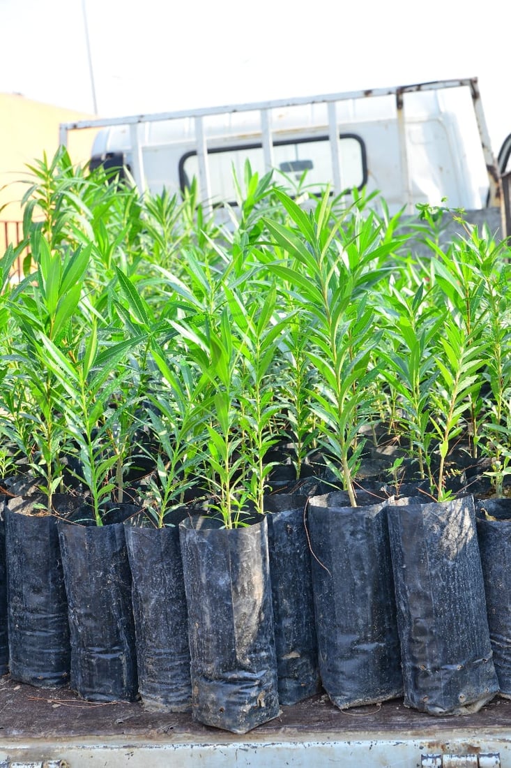 شەقامی 120 مەتری هەولێر جوان دەکرێت