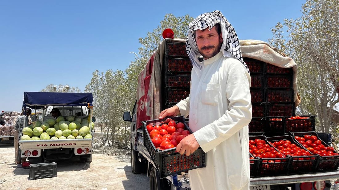 صور: خضروات البصرة في تموز “Take Away” والسوق فجراً أو بعد العصر