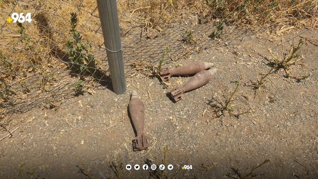 چەندان گولە هاوەن و ئارپیجی دۆزرانەوە