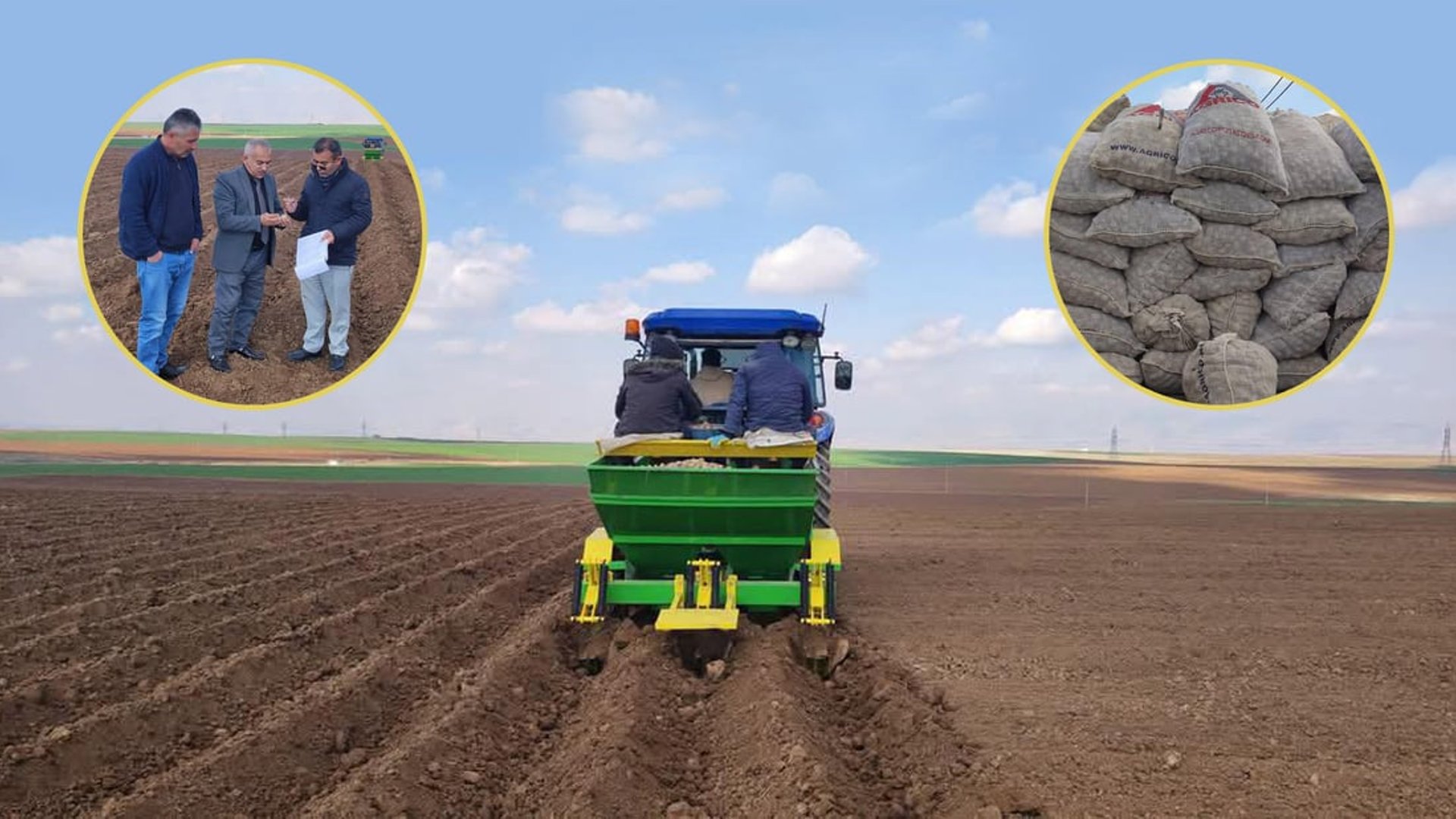 Farmers in Akre begin spring potato planting amid production surge ...