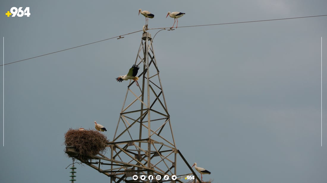 لەق لەقەکانی گوندی باریکە