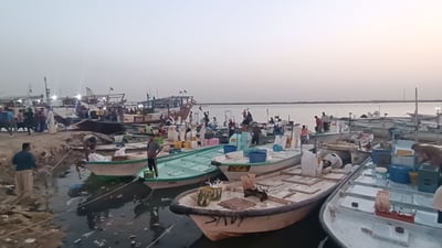 يوم ممطر ومميز في مرسى النقعة.. شباك الصيادين عادت بصيد وفير من بحر البصرة (صور)