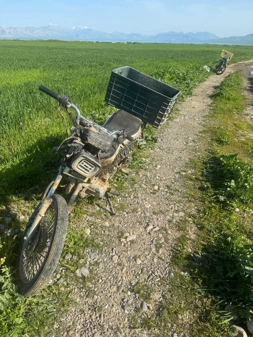 له‌ راپه‌ڕین 11 راوچی دیكه‌ ده‌ستگیركران