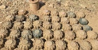 لە كێڵگە مینە هەرەمەترسیدارەكانی كوردستان بە دەیان می...