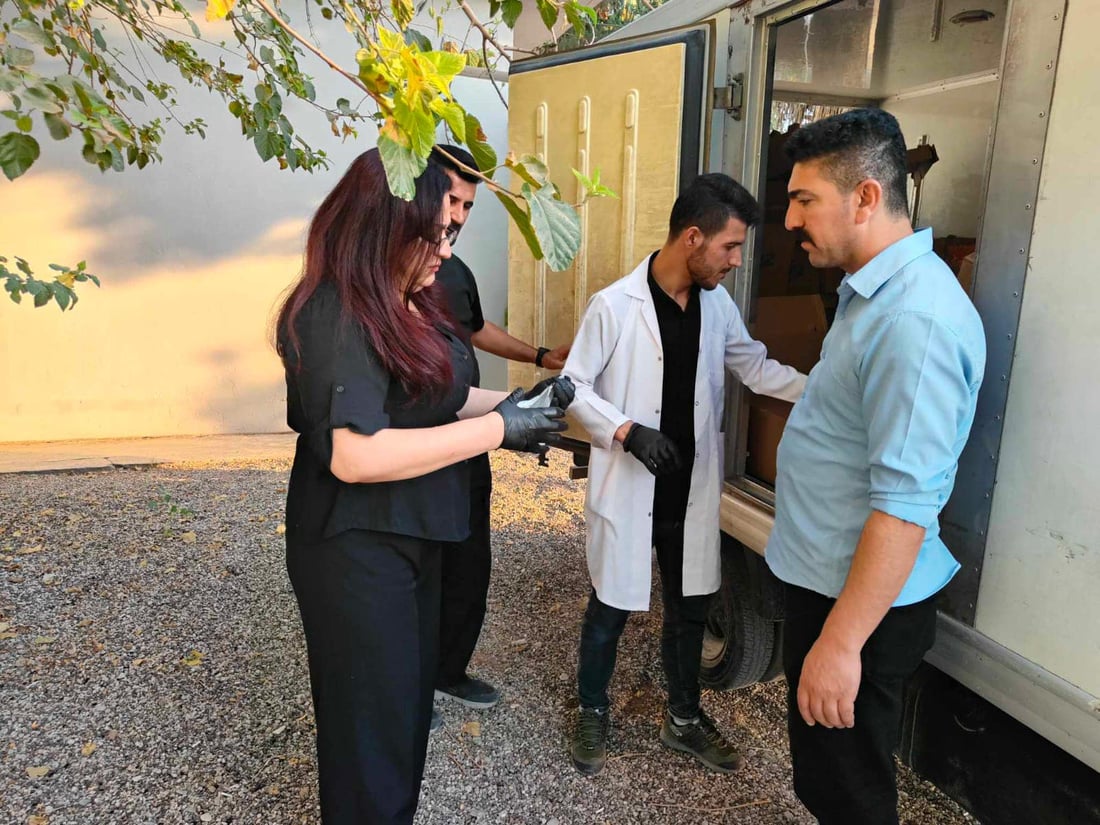 نیو تۆن شیرەمەنی و خواردن دەستی بەسەرداگیرا