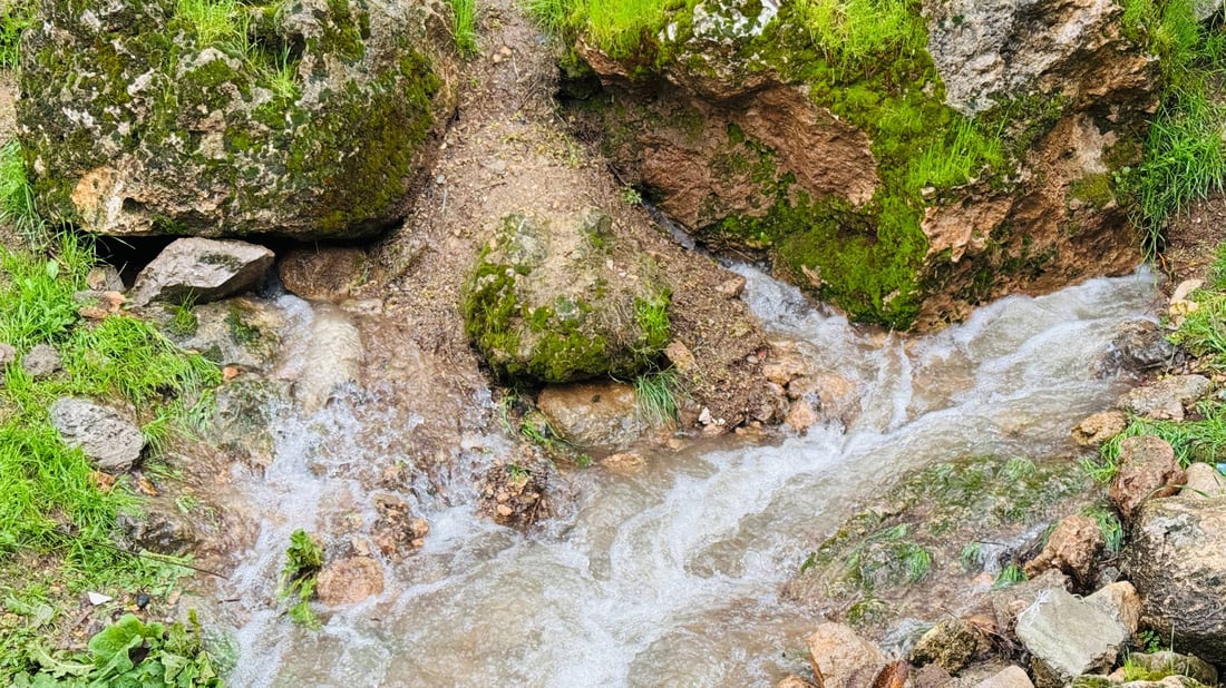لە گوندی ئاکۆیان هەر شوێنێک دەڕوانی کانیاوە هەڵدەقوڵێ و هاژەی دێ