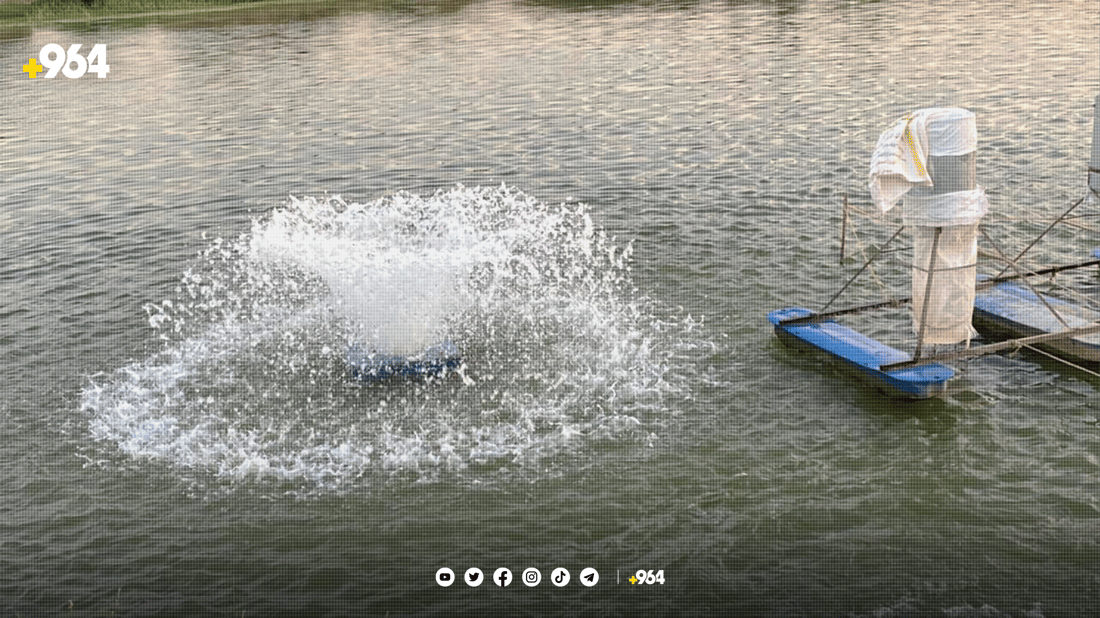 لە پارێزگاکانی عێراق ماسی کوردستان رەواجی زۆرە