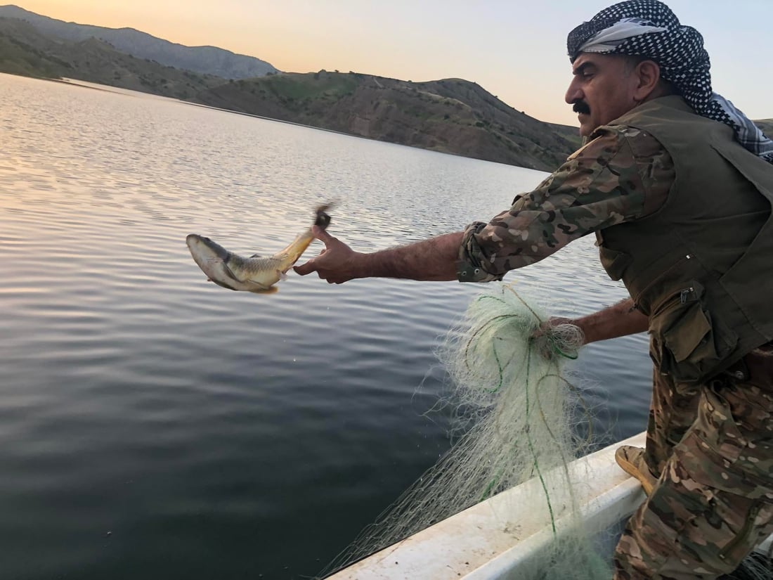 راوچی واز لە ماسییەكانی دەربەندیخان ناهێنێت