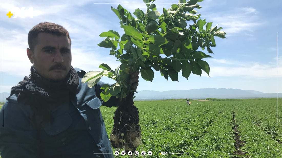 پەتاتە ئۆتۆمبێل بە جوتیارێک دەفرۆشێت