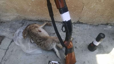 ئەمڕۆ پۆلیسی دارستان دەستگیرکردنی هەشت کەسی راگەیاند