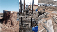 پۆلیسی دارستان و ژینگە 11 کەسیان دەستگیر کرد