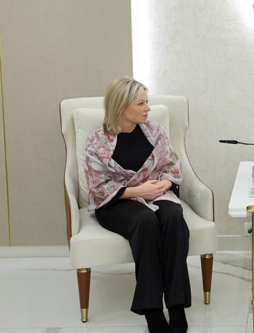 Ammar Al-Hakim discusses bilateral partnerships with UN rep