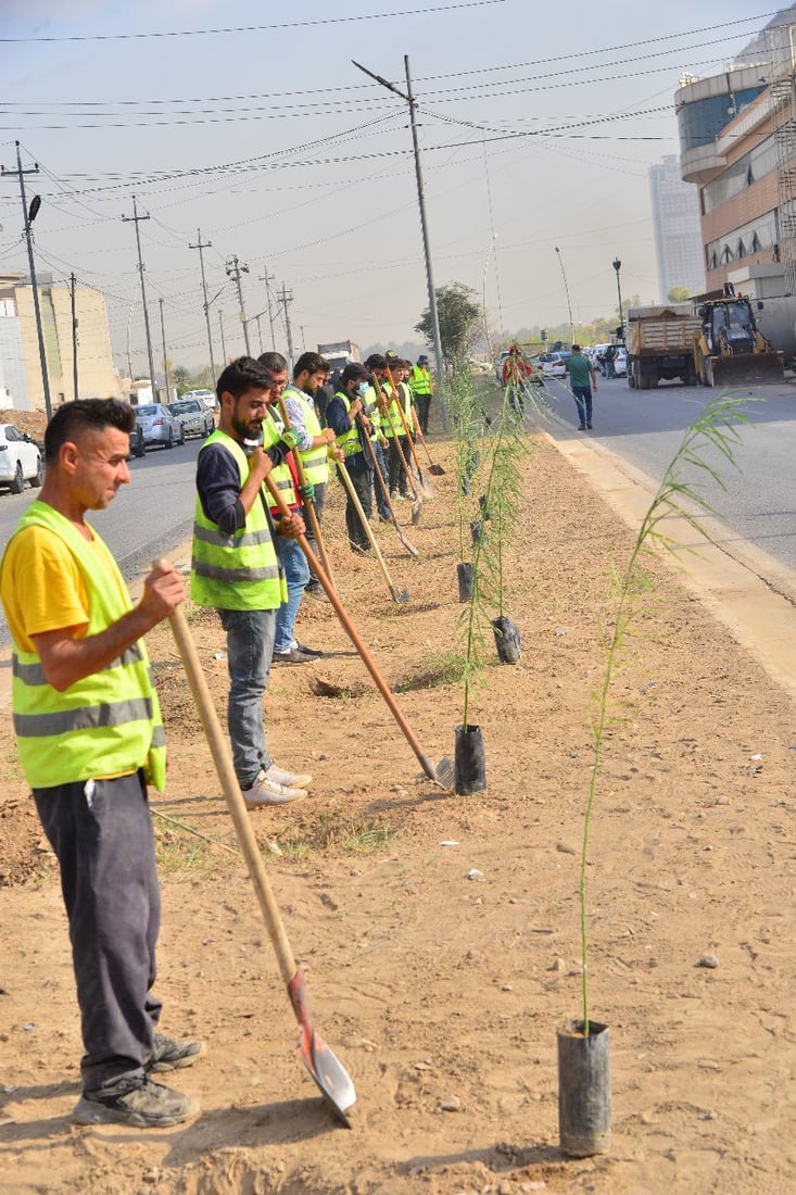 بە هەرکوێدا دەڕۆی شار سەوز دەکەن و دار دەچێنن 