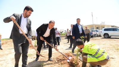 له‌ شوێنی زبڵدان هه‌ڵمه‌تی چاندنی دار ده‌ستیپێكرد