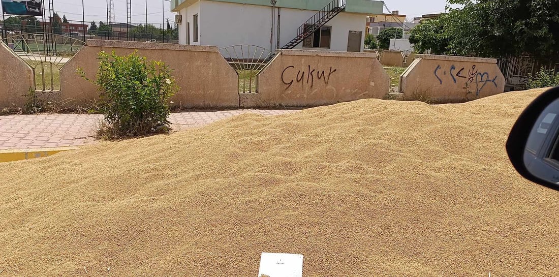 شارەزوور؛ لەبەر گەنم رێگە نییە بڕۆی و شارەوانیش خەریکی ئاگادارکردنەوەیە