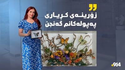 کچە هەولێرییەک دەستی داوەتە مۆمیاکردنی پەپوولە و دەیانفرۆشێ