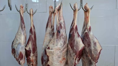 لە چەمچەماڵ سێ قەسابخانە داخران و شوێنێکیش سزا درا