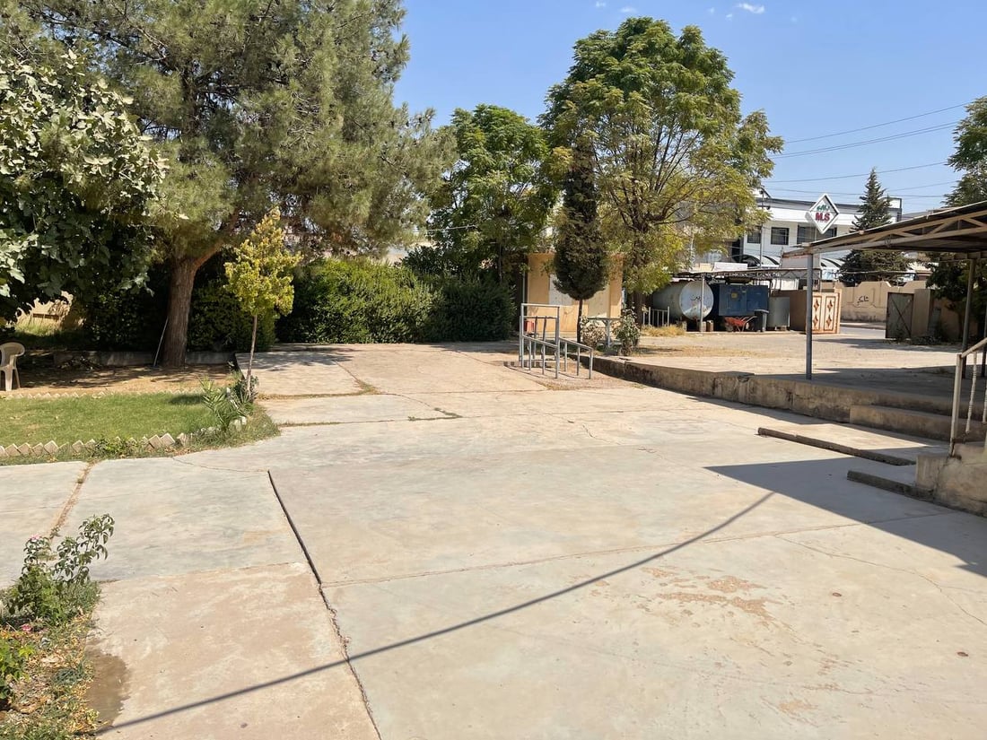 بەڕادە تاقانەکەی ڤێتێرنەری بەردەڕەش فرۆشرا