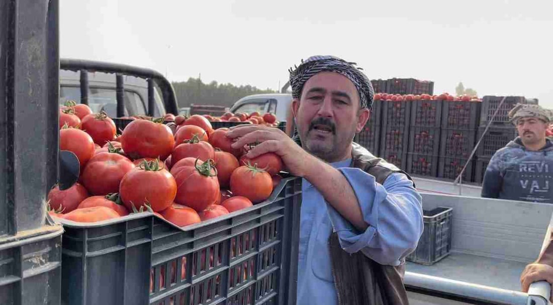 العراق الى اين