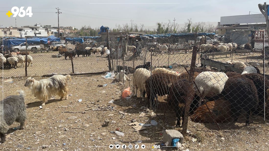 New case of hemorrhagic fever confirmed in Sulaymaniyah’s Chwar Chra neighborhood