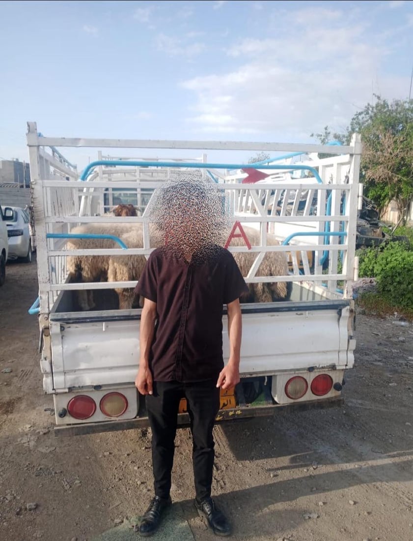 چوار ئۆتۆمبێل بە ئاژەڵی قاچاخەوە دەستیان بەسەرداگیرا