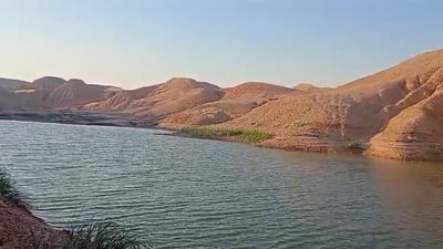 گوندنشینێك “بە خێر” پۆندێكی بۆ ئاژەڵە كێوییەكان دروست كردووە