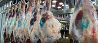 A meat safety conference to be held in Sulaymaniyah