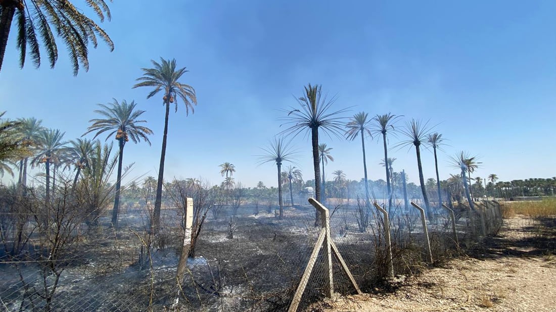 ئاگرێک بووە هۆی سووتانی چەندین دارخوورما لە خانەقین