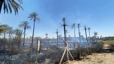 ئاگرێک بووە هۆی سووتانی چەندین دارخوورما لە خانەقین